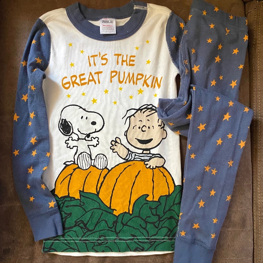 Hanna Andersson Organic Cotton boys fall pajamas